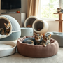 💤 Unleash Your Cat’s Comfort: Choosing the Perfect Bed for Their Personality 🐱✨