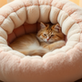 🛏️ Why a Donut Cat Bed is the Best Investment for Your Cat's Comfort 🐱✨