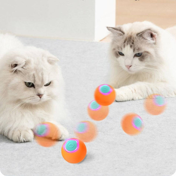 Interactive Bouncing Cat Ball - CATSHEE