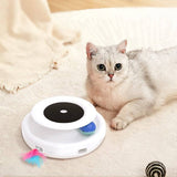 2 in 1 Smart Cat Teaser Toy - CATSHEE
