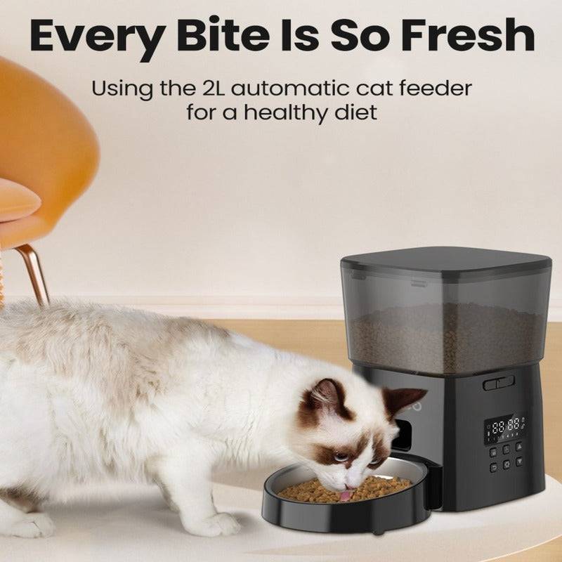 Automatic Cat Feeder 2L with Stainless Steel Bowl - CATSHEE