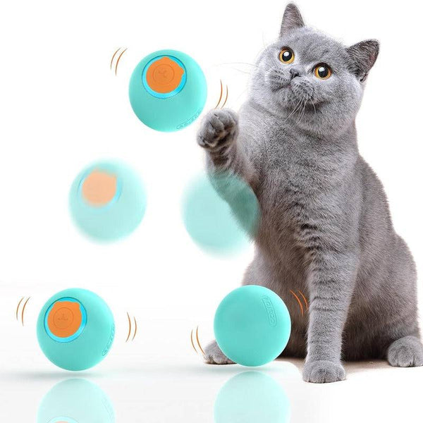 Interactive Bouncing Cat Ball - CATSHEE