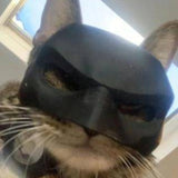 Cat Bat SuperHero Mask - CATSHEE