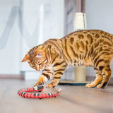 Smart Snake Cat Toy - Automatic Interactive Teaser with USB Charge