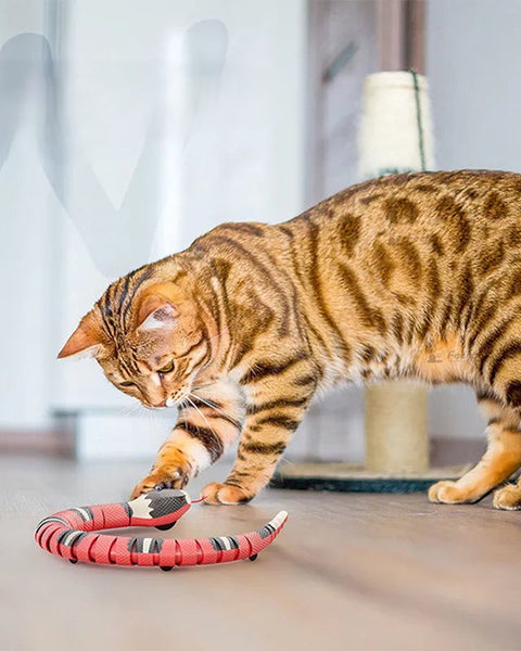Smart Snake Cat Toy - Automatic Interactive Teaser with USB Charge
