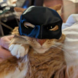 Cat Bat SuperHero Mask - CATSHEE