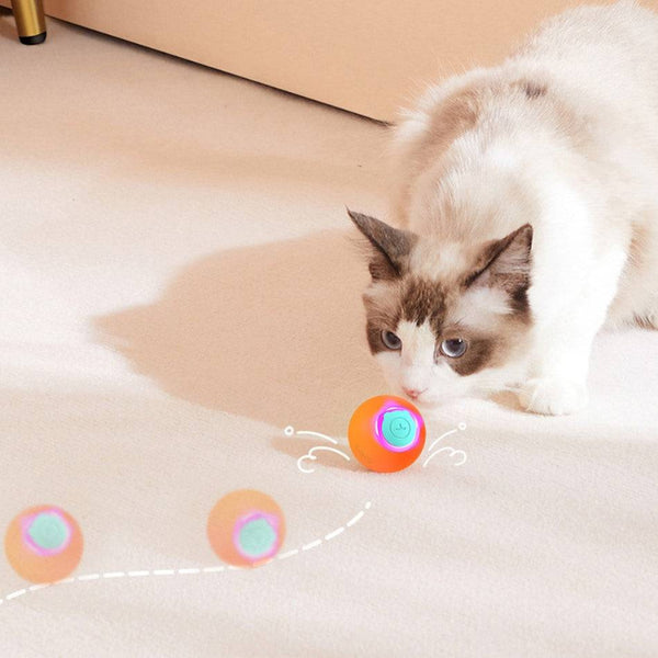 Interactive Bouncing Cat Ball - CATSHEE