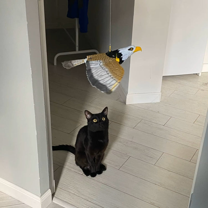 Electric Flying Bird Cat Toy