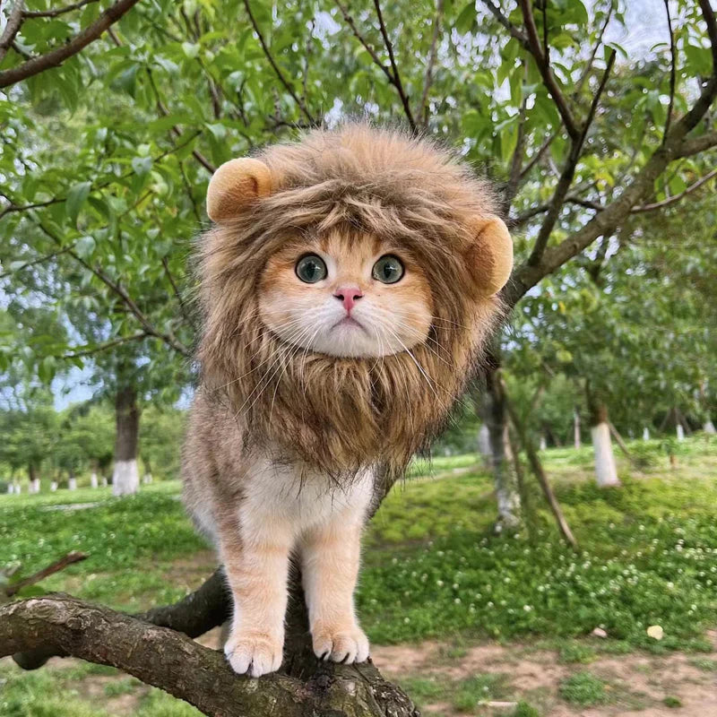 Adorable Cat Lion Mask – Fun & Safe Costume Accessory