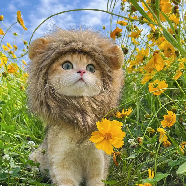 Adorable Cat Lion Mask – Fun & Safe Costume Accessory
