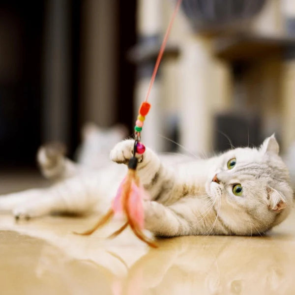 Interactive Feather Teaser Wand – Fun & Engaging Cat Playtime