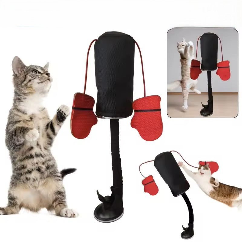 CATSHEE™ Cat Punching Bag Toy! Interactive boxing game with gloves for indoor cats.