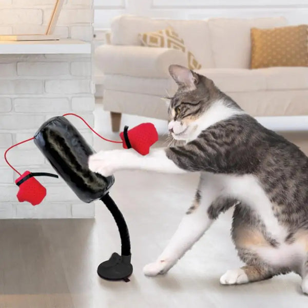 CATSHEE™ Cat Punching Bag Toy! Interactive boxing game with gloves for indoor cats.