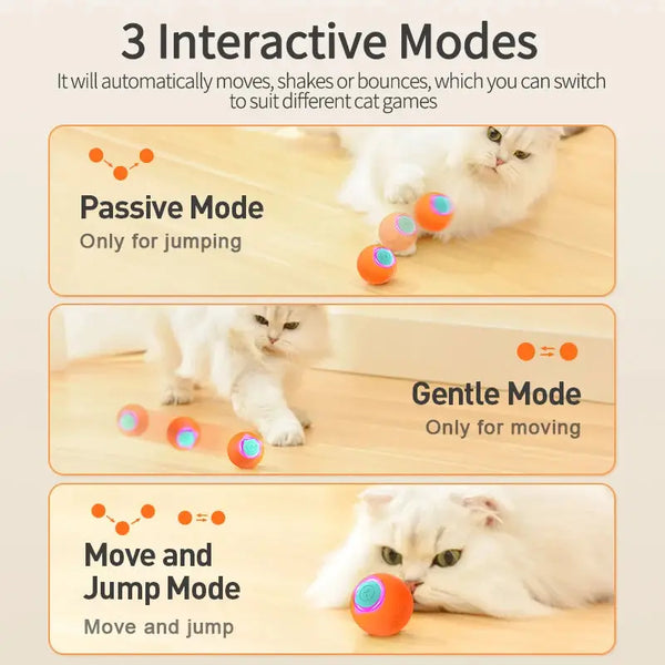 Interactive Bouncing Cat Ball - CATSHEE