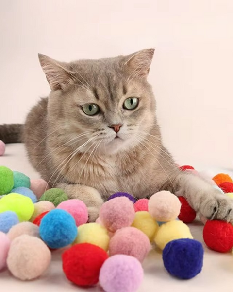 Interactive Cat Toy Launcher – Plush Balls & Teaser Wands for Endless Fun