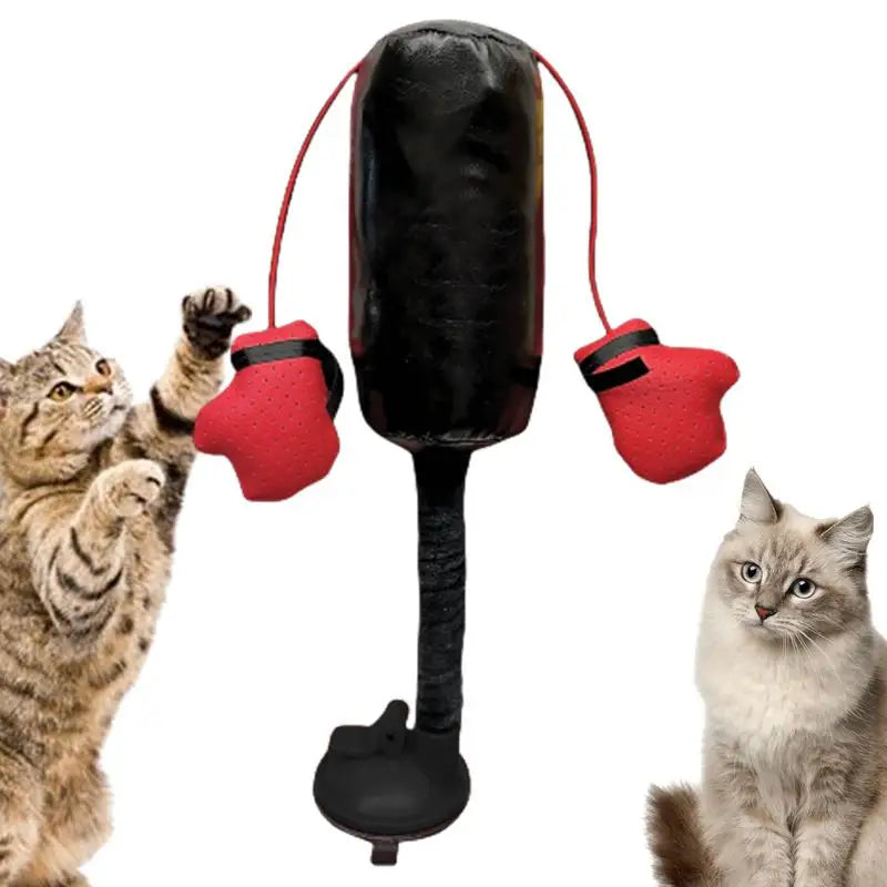 CATSHEE™ Cat Punching Bag Toy! Interactive boxing game with gloves for indoor cats.