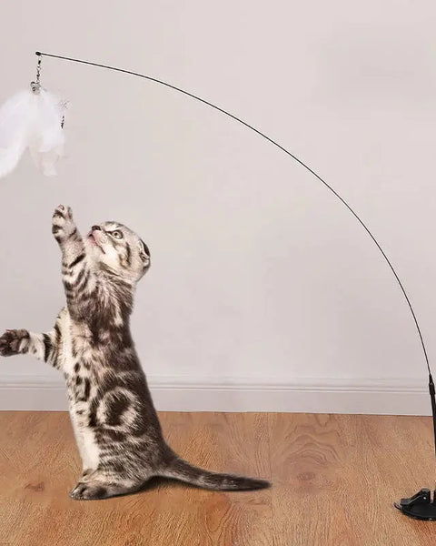 Interactive Feather Teaser Wand – Engaging cat toy designed to stimulate hunting instincts and provide fun, active playtime