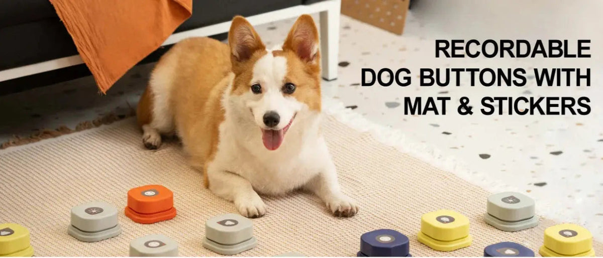 Recordable Cat Talking Buttons – Interactive communication buttons with a non-slip rubber mat for easy training and playful learning