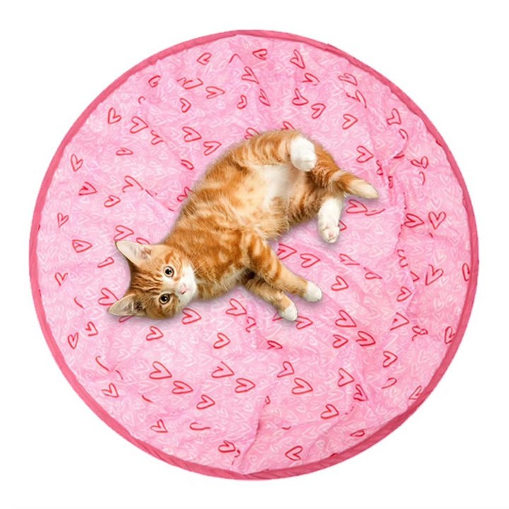 CATSHEE⢠Automatic Cat Toy - Moving Bouncing Ball with Hunt Cover