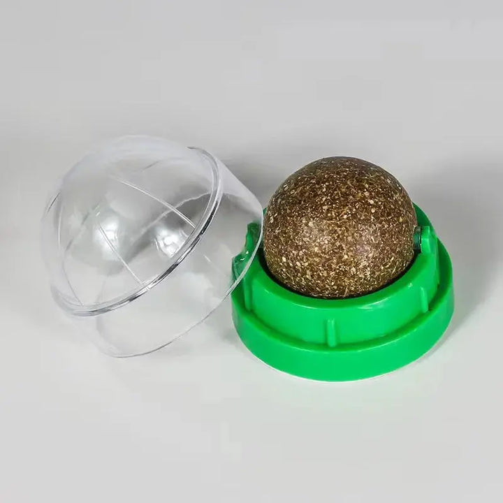 Cat playing with catnip wall ball toy