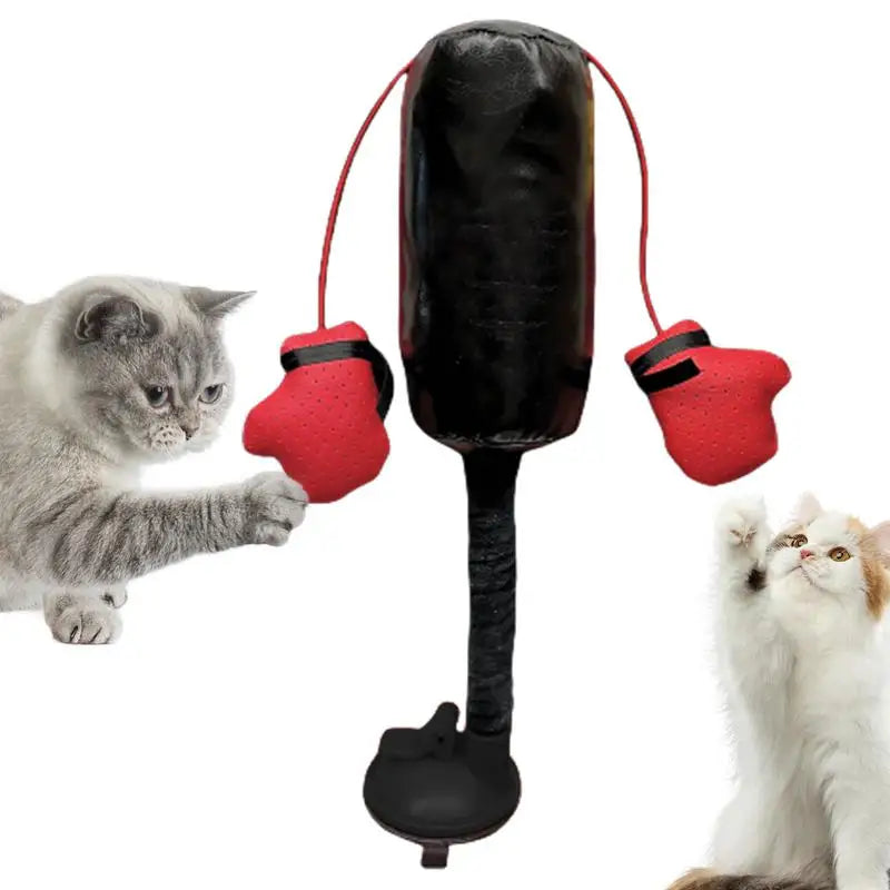 CATSHEE™ Cat Punching Bag Toy! Interactive boxing game with gloves for indoor cats.