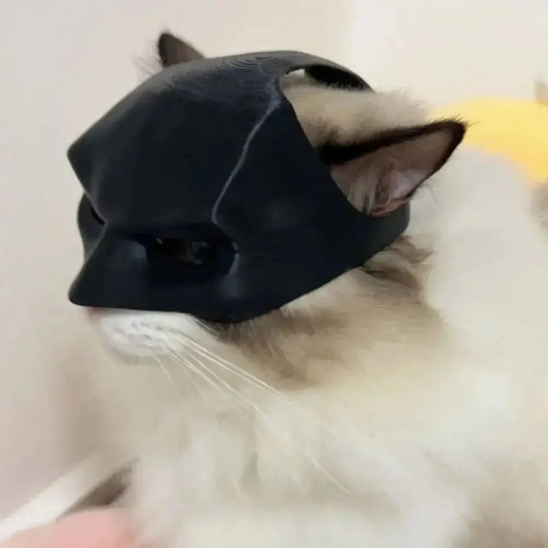 Cat Bat SuperHero Mask - CATSHEE