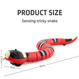 Smart Snake Cat Toy - Automatic Interactive Teaser with USB Charge