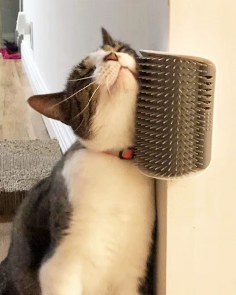 Cat Scratcher Angle Brush – Self-Cleaning Grooming Tool & Hair Remover