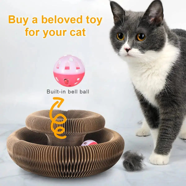 Cat playing with scratcher toy and ball