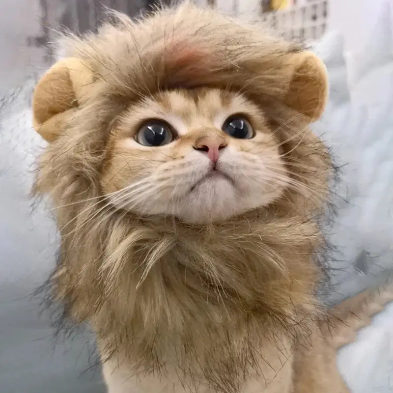 High-quality cat lion mask