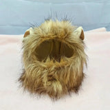 Fun cat costume with lion head mask