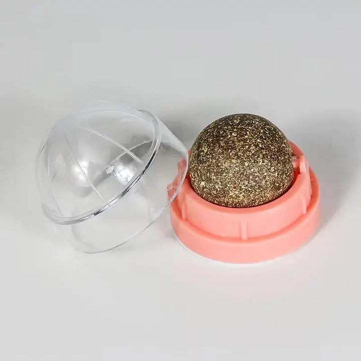 Cat playing with catnip wall ball toy