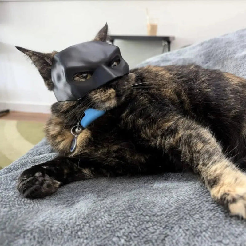 Cat Bat SuperHero Mask - CATSHEE