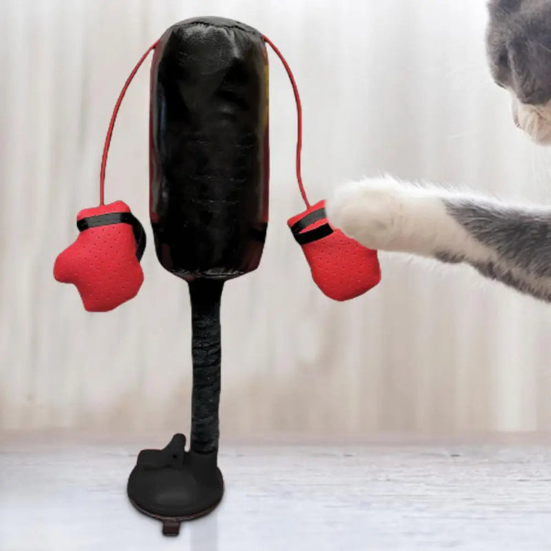 CATSHEE™ Cat Punching Bag Toy! Interactive boxing game with gloves for indoor cats.