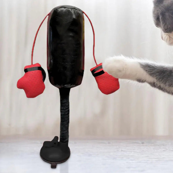 CATSHEE™ Cat Punching Bag Toy! Interactive boxing game with gloves for indoor cats.