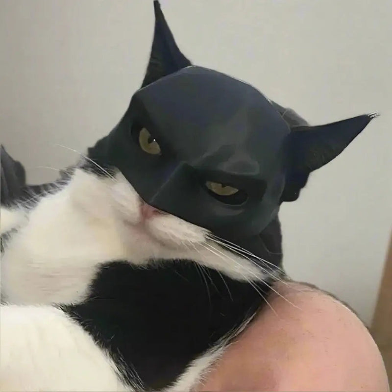 cat batman mask