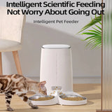 Automatic Cat Feeder 4L with Remote Control and Double Bowls - CATSHEE