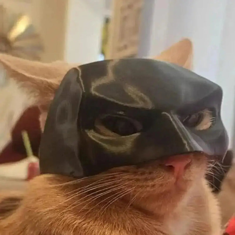 Cat Bat SuperHero Mask - CATSHEE