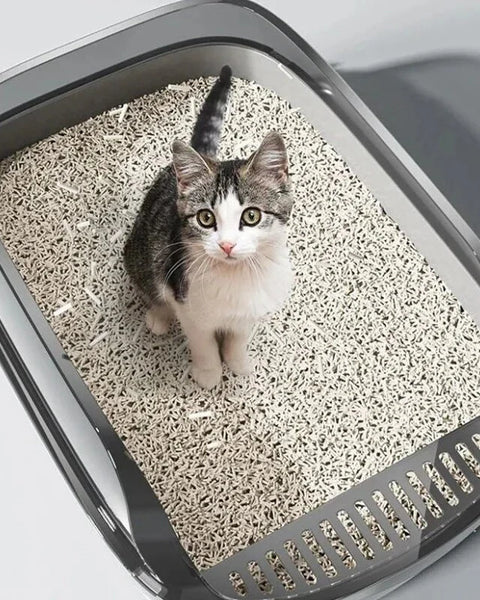 Splashproof Litter Box - Semi-Enclosed Cat Toilet with Scoop