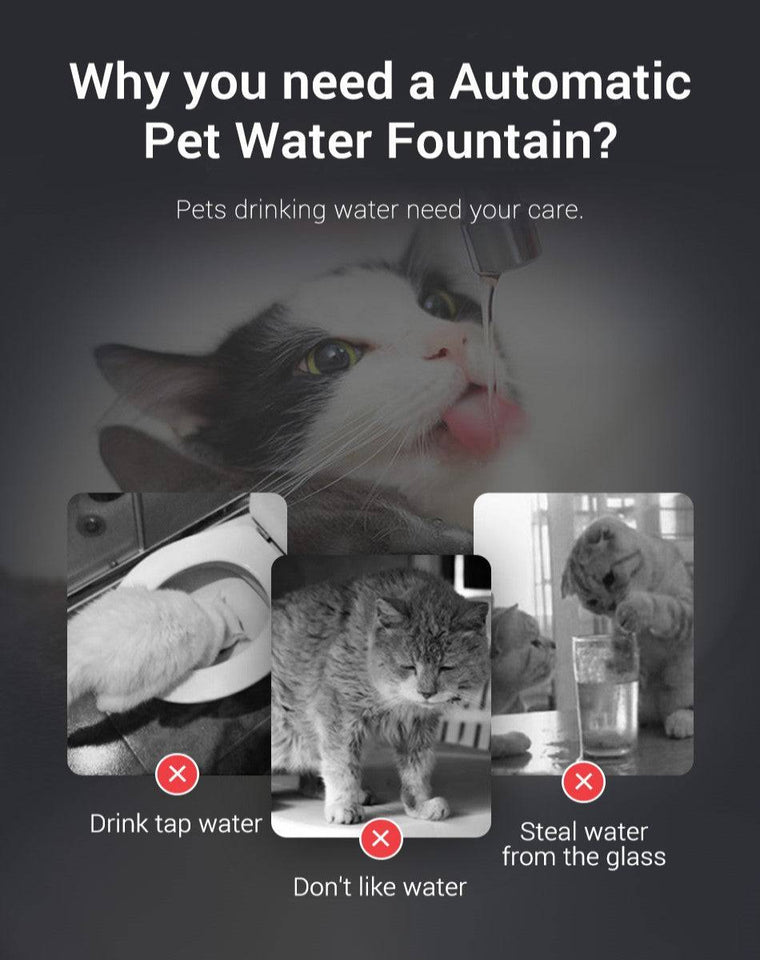 Automatic Cat Fountain 2L with Sensor and Filter - CATSHEE