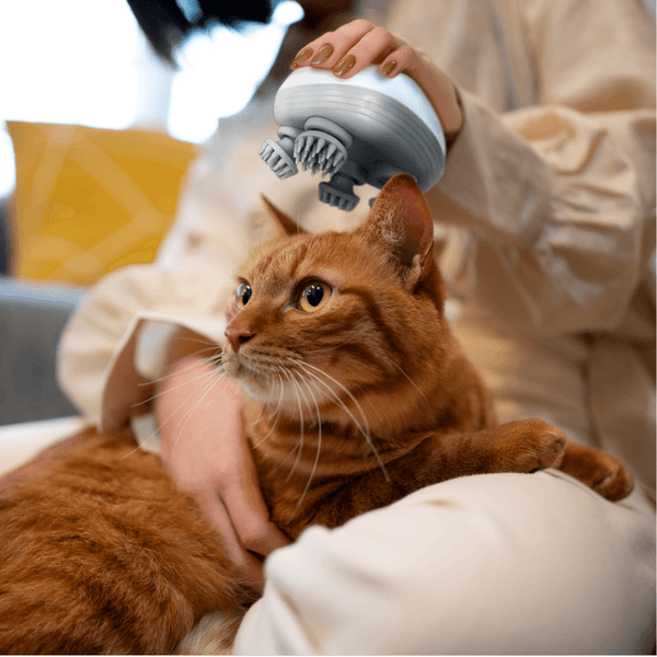 cat_massager_2