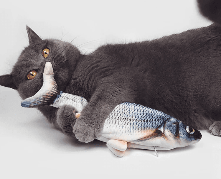 Cat playing with electric fish toy