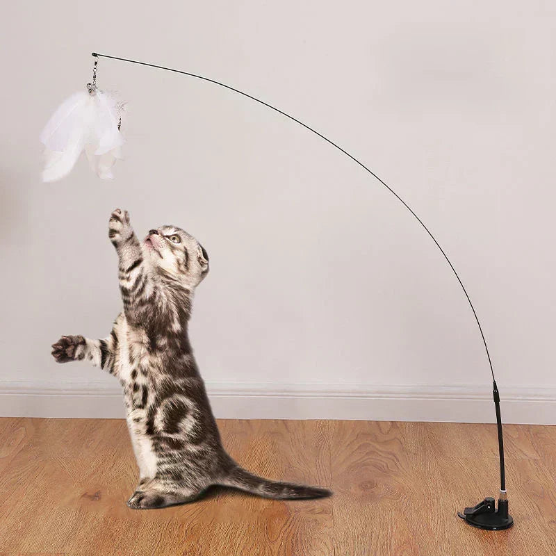 😌 The Importance of Interactive Play for Your Cat’s Mental Health 🐱✨