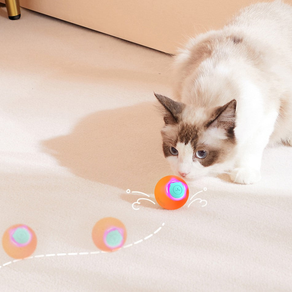 CATSHEE™ Interactive Bouncing Cat Ball