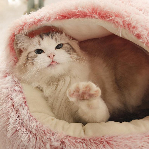 CATSHEE™ Winter Soft Plush Cat Bed