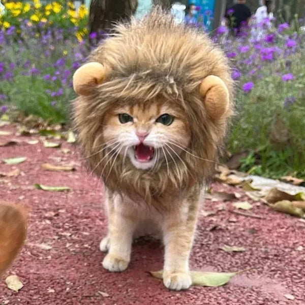 Cat lion mask for Halloween