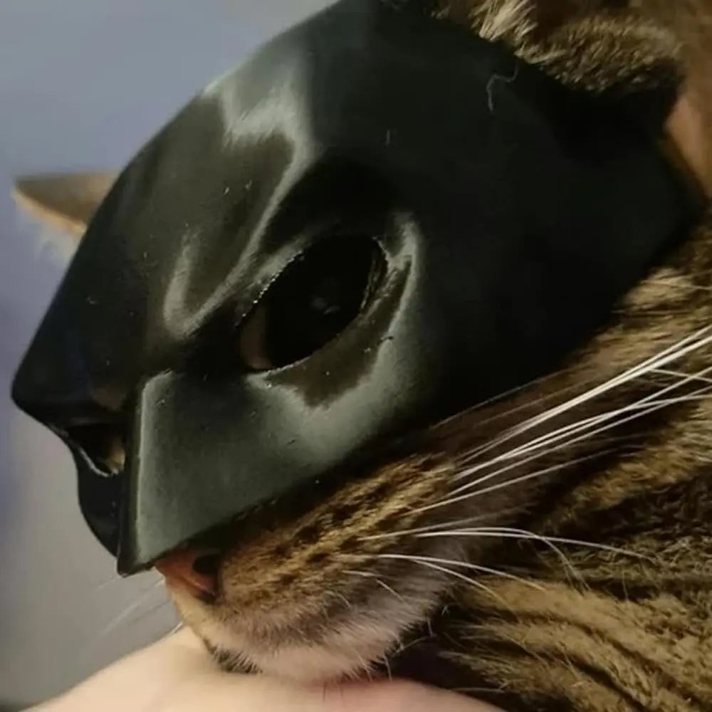 CATSHEE™ Cat Bat SuperHero Mask