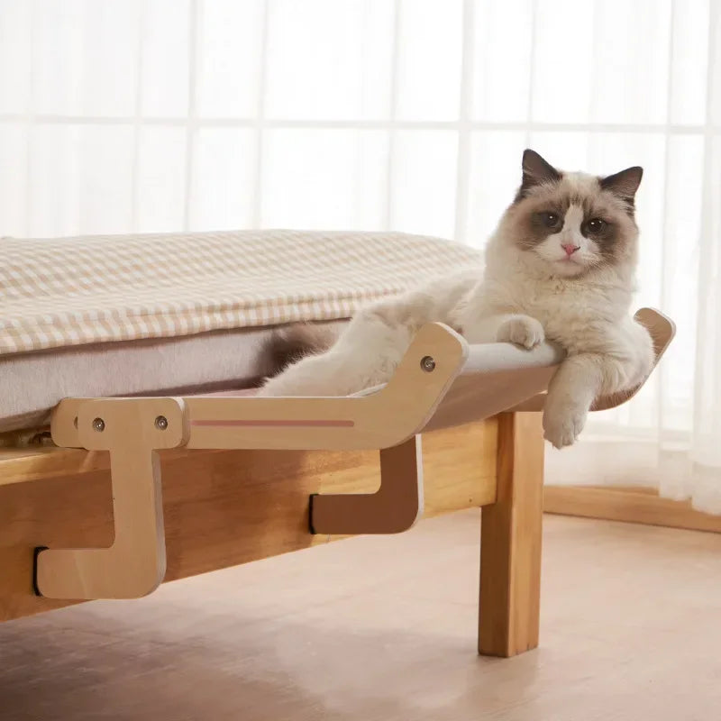 cat_hammock5