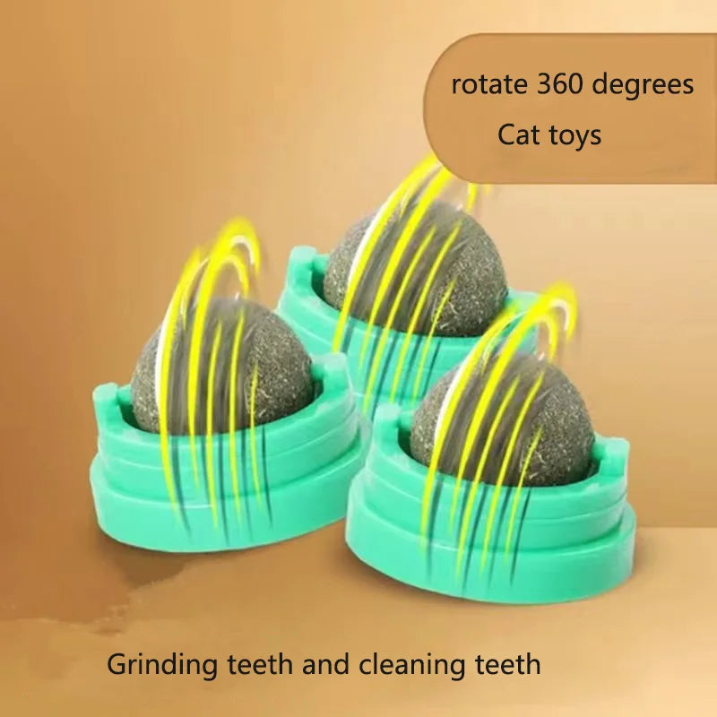 CATSHEE™ Catnip Wall Ball Toy for Cats – Natural Cat Grass Snack & Scratcher