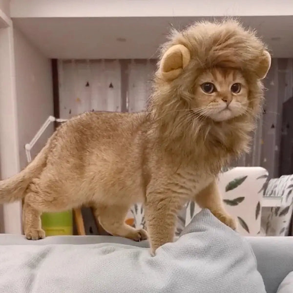 Realistic lion mask for cats